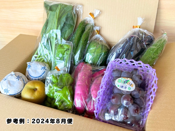【送料込】東三河の旬の野菜・果物セット（8月）【発送期間8/18～29】