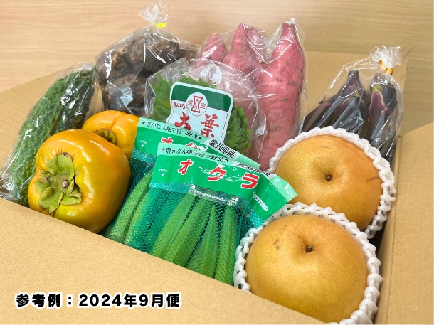 【送料込】東三河の旬の野菜・果物セット（9月）【発送期間9/16～26】