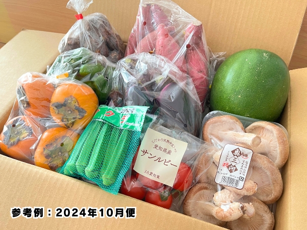 【送料込】東三河の旬の野菜・果物セット（10月）【発送期間10/20～31】