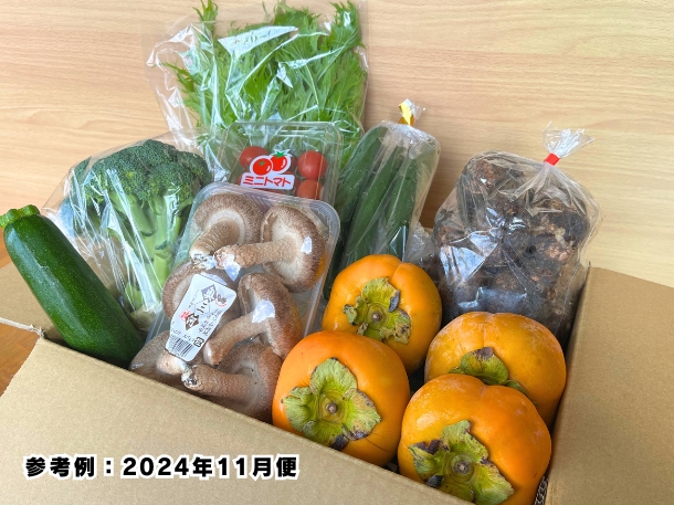 【送料込】東三河の旬の野菜・果物セット（11月）【発送期間11/17～28】