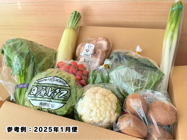 【送料込】東三河の旬の野菜・果物セット（12月）【発送期間12/15～26】