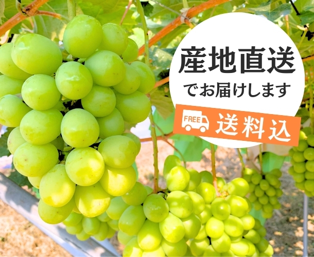 シャインマスカット1kg【先着30名様】