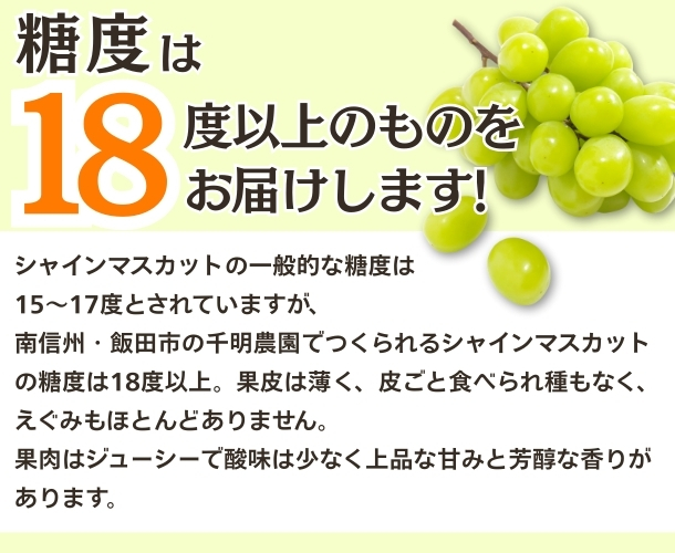 シャインマスカット1kg【先着30名様】
