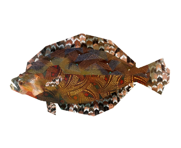 【2月限定】旬のちくわ（平目）【配達日：2/22.23のみ】