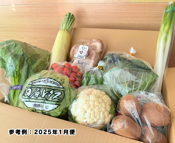 【送料込】東三河の旬の野菜・果物セット（1月）【発送期間1/19～30】