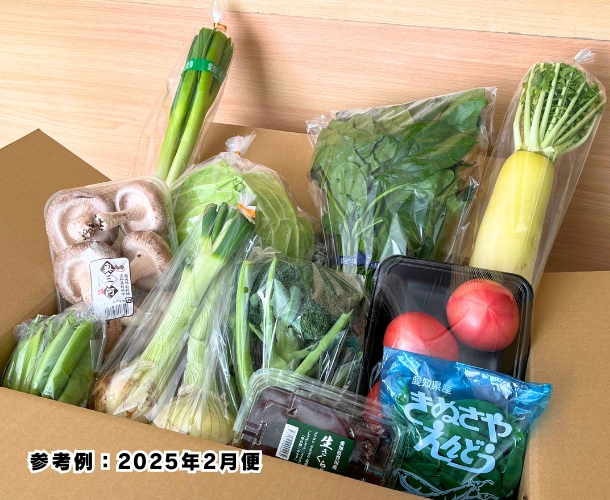 【送料込】東三河の旬の野菜・果物セット（2月）【発送期間2/16～27】