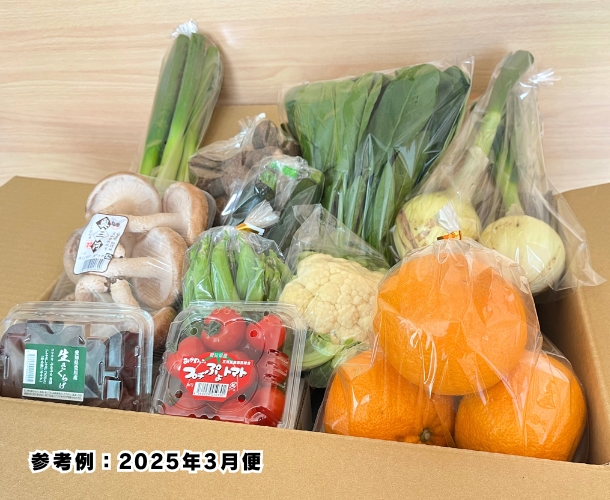 【送料込】東三河の旬の野菜・果物セット（3月）【発送期間3/16～27】