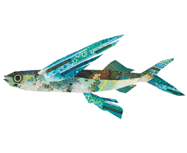 【6月限定】旬のちくわ（飛魚）【配達日：6/21.22のみ】