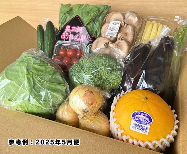 【送料込】東三河の旬の野菜・果物セット（5月）【発送期間5/18～29】