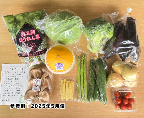 【送料込】東三河の旬の野菜・果物セット（5月）【発送期間5/18～29】