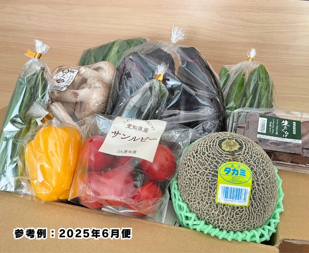 【送料込】東三河の旬の野菜・果物セット（6月）【発送期間6/15～26】