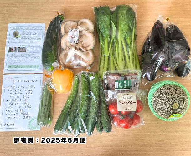 【送料込】東三河の旬の野菜・果物セット（6月）【発送期間6/15～26】