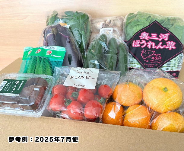 【送料込】東三河の旬の野菜・果物セット（7月）【発送期間7/21～31】