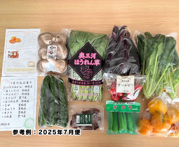 【送料込】東三河の旬の野菜・果物セット（7月）【発送期間7/21～31】