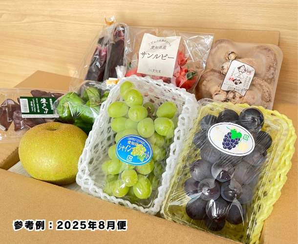 【送料込】東三河の旬の野菜・果物セット（8月）【発送期間8/17～28】