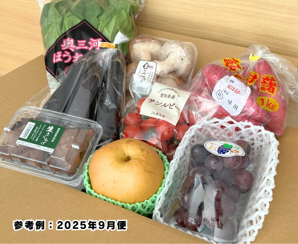 【送料込】東三河の旬の野菜・果物セット（9月）【発送期間9/14～25】