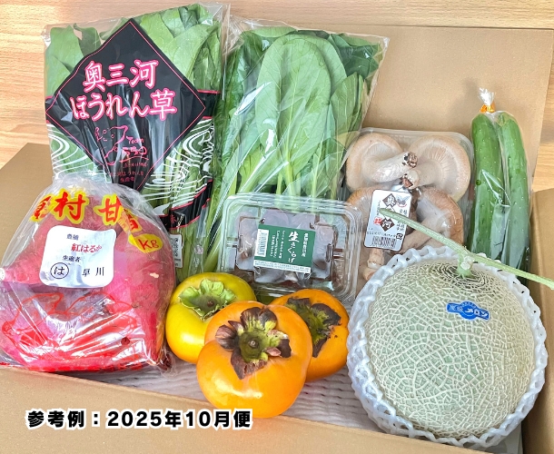 【送料込】東三河の旬の野菜・果物セット（10月）【発送期間10/19～30】