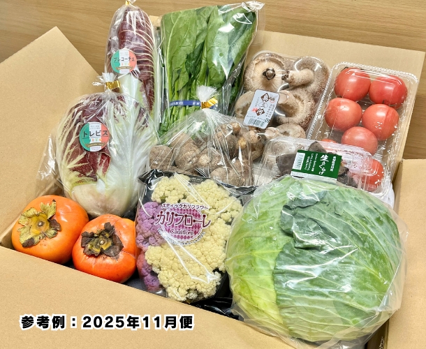 【送料込】東三河の旬の野菜・果物セット（11月）【発送期間11/16～27】