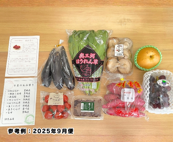 【送料込】東三河の旬の野菜・果物セット（9月）【発送期間9/14～25】