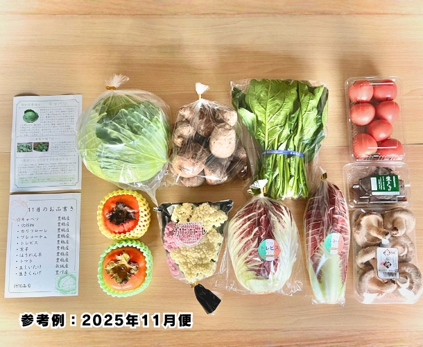 【送料込】東三河の旬の野菜・果物セット（11月）【発送期間11/16～27】