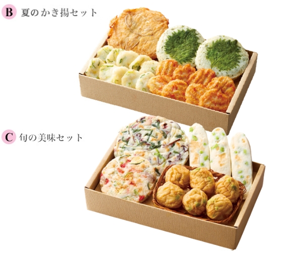 美味彩々［夏のかき揚セットB＋旬の美味セットC]
