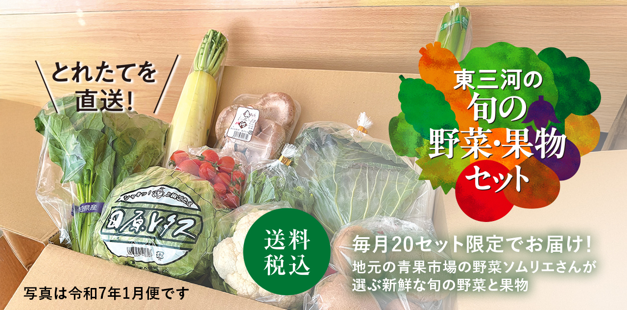 東三河の旬の野菜・果物セット
