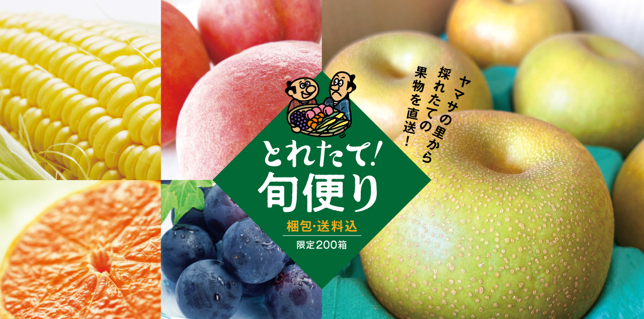 とれたて旬だより